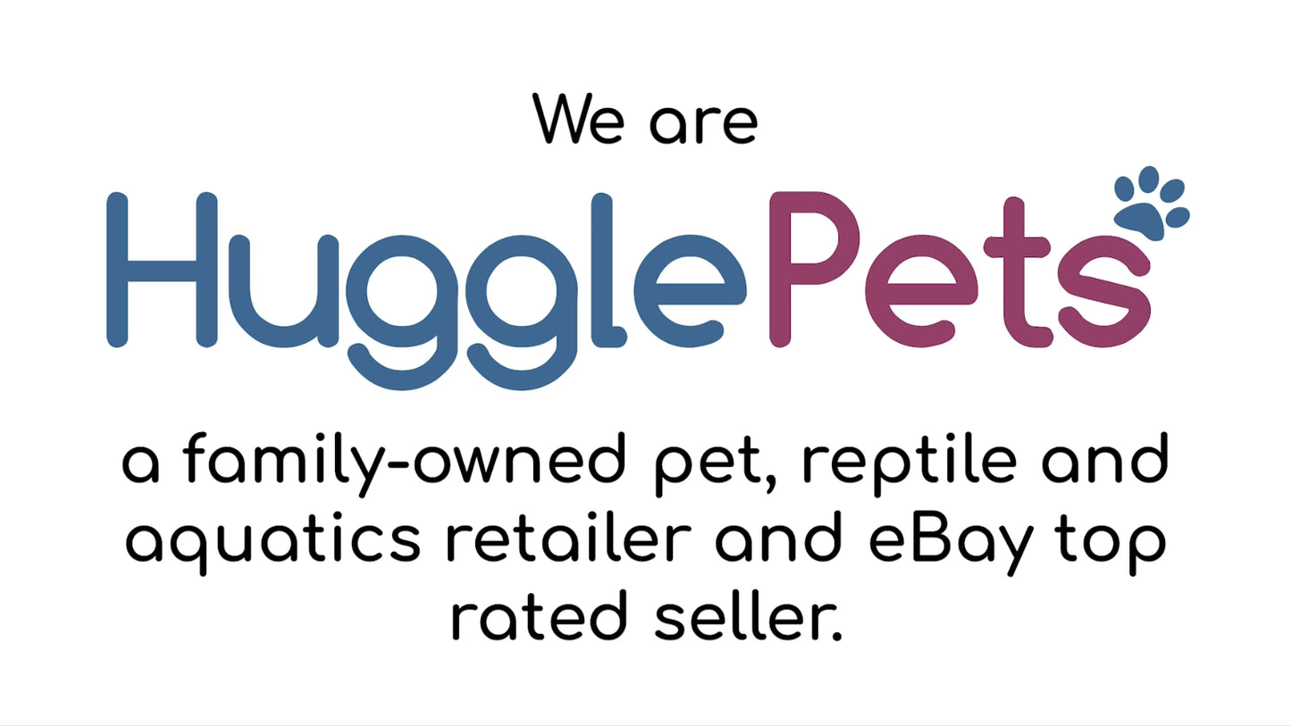 Dog Cage Puppy Training Crate Pet Carrier Small Medium Large XL XXL Metal Cages