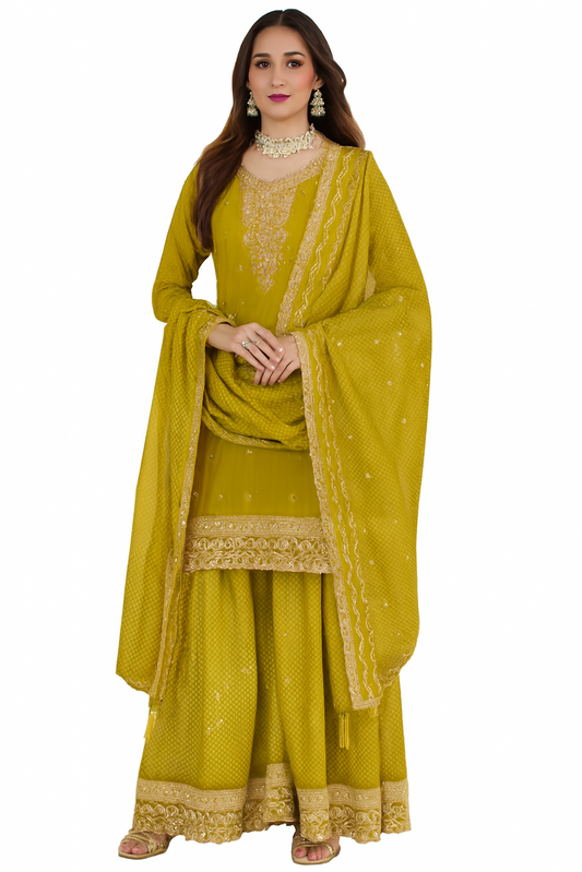 Women Embroidery Kurta Set-Light Green (Size-3XL) | D412